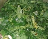 Foto langkah ke 3 dari resep Sayur bening katuk.