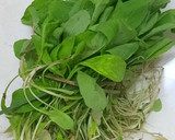 Foto del paso 1 de la receta: Rúcula con ajo picado