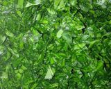 صورة لخطوة 1 من وصفة 🌿 يخنة سبانخ 🌿