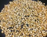 Foto del paso 1 de la receta: Pochoclos de cine en Essen 24cm 🍿