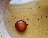 A picture of step 9 of Khoya Gulabjamun.