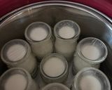 A picture of step 4 of Cheese Yogurt.