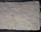 Foto del paso 5 de la receta: Lasaña de espinacas y setas