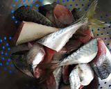 Foto del paso 1 de la receta Caballas en adobo Urrutia
