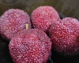 A picture of step 1 of Chinese Bayberries Myrica rubra 楊梅.