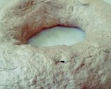 Foto del paso 3 de la receta: Rosca de Reyes con harina Pureza con levadura