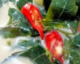 Foto langkah ke 3 dari resep Daun Katu Kuah Santan.