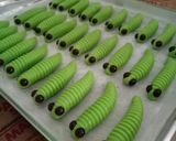 Foto langkah ke 5 dari resep Caterpillar Cookies / Kue Semprit.