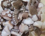 A picture of step 1 of Calamarata with Octopus Ragù.