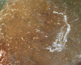 Foto del paso 17 de la receta: Solomillo de cerdo al Pedro Ximénez