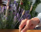 Foto del paso 1 de la receta: Rosas de hojaldre