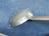 Blue phirni