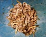 Foto langkah ke 3 dari resep Sate Jamur Tiram.