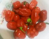 A picture of step 3 of Versace tatashi sauce!.