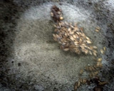 A picture of step 3 of Kevti dal.