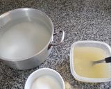 Foto del paso 1 de la receta: Gelatina artística