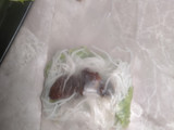 Rice Paper Chicken Satay Roll