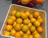 Foto del paso 1 de la receta: Dulce de Quinotos de la Huerta al Campari