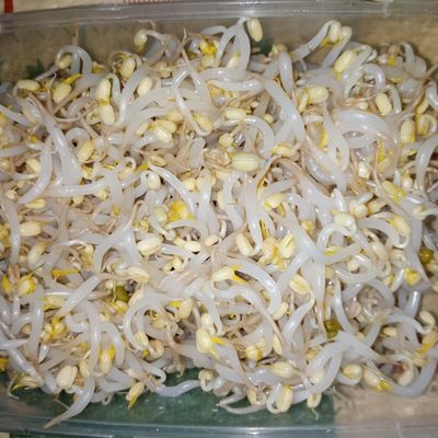 Langkah 5