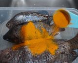 Foto langkah ke 2 dari resep Ikan Goreng Sederhana.