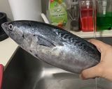 Foto langkah ke 1 dari resep Tongkol Balado Suwir Pedas.
