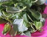 Foto langkah ke 1 dari resep Sayur Bening seger ala mamifatih ❤.