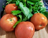 Foto del paso 1 de la receta: JUGO (zumo) de 🍅Tomate y Guasca...!🌿
