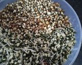 ફણગાવેલા મગ અને મઠ (Sprout Mag And Math Recipe In Gujarati) રેસીપી સ્ટેપ1ફોટો