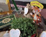 عکس مرحله 1 از دستور هفت سین یاسین کوک 😊😉