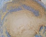 đ pörkölt nokedlivel recept fĂĄzis 4 fotĂłja