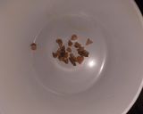 Dan wakematakin girki2 hoto