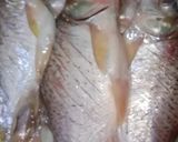 Foto langkah ke 1 dari resep Ikan bakar kecap(ikan kepiek+tabiang Alan).