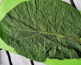 Foto del paso 2 de la receta: Crema de harina de haba a la hoja santa