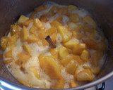 Foto del paso 1 de la receta: Mermelada de melocotón de temporada