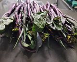 A picture of step 1 of Sauteed Purple Choisum.