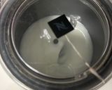Foto del paso 4 de la receta: Chai Latte
