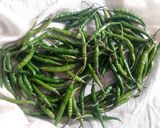 A picture of step 1 of Vadhvani Green Chilli Pickle (Hari Mirchi Ka Achaar).