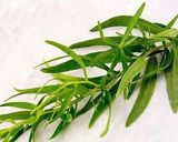 عکس مرحله 1 از دستور خیارشور ترخون🌿