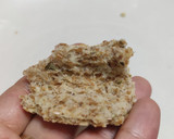Foto del paso 10 de la receta: Masa de pizza