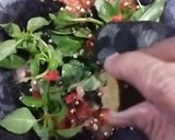 Foto langkah ke 6 dari resep Ikan Bilis Goreng Sambal Kemangi.