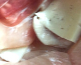 Foto del paso 1 de la receta: Cachopos de pollo en airFryer
