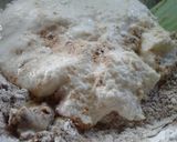 Foto del paso 3 de la receta: Rosca de Pascua al chocolate