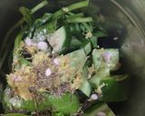 A picture of step 2 of Spinach juice for glowing skin.
