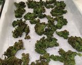 Foto del paso 4 de la receta: Kale chips