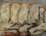 Foto del paso 5 de la receta: Berenjenas a la parmigiana