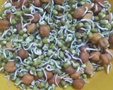 A picture of step 3 of Mixed Sprouts Salad.