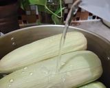 Foto langkah ke 2 dari resep Corncob (Teh Bongkol Jagung).