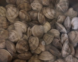 Foto del paso 8 de la receta: Cazuela de garbanzos a la marinera