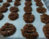 Cara Membuat Chocochips Oat Cookies Gluten Free 4