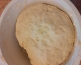 Foto del paso 3 de la receta: Medialunas de manteca recién hechas!!!